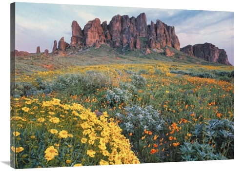 Global Gallery GCS-396990-3040-142 30 x 40 in. California Brittlebush 