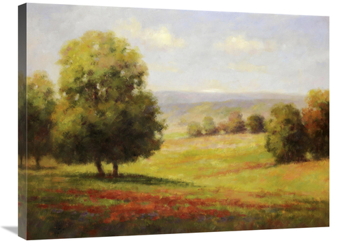 Global Gallery GCS-130631-2432-142 24 x 32 in. Red Meadow II Art Print