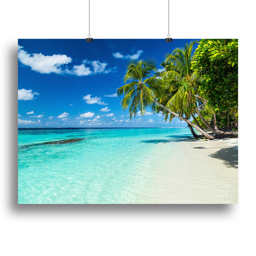 coco palms on paradise beach Canvas Print or Poster