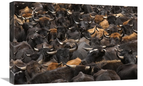 Global Gallery GCS-397885-1624-142 16 x 24 in. Chagra Cowboys During t