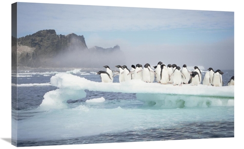 Global Gallery GCS-451543-36-142 36 in. Adelie Penguins Crowding on Me