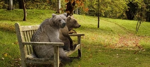 Panoramic Images PPI137699L Bears sitting on a bench Poster Print by P