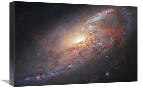 Global Gallery GCS-456001-1624-142 16 x 24 in. Galaxy M106 Art Print -