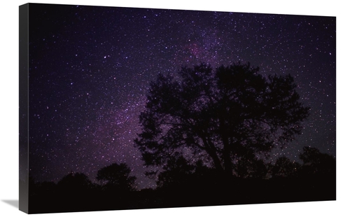 Global Gallery GCS-396047-2030-142 20 x 30 in. Starry Sky with Silhoue