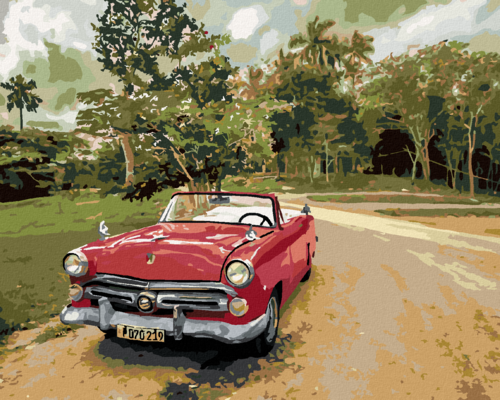 Paint by Numbers - RED CAR ON THE ROAD