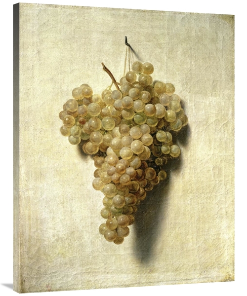 Global Gallery GCS-281741-40-142 40 in. White Grapes - Raisons Blancs 