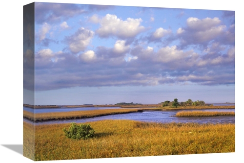 Global Gallery GCS-396103-1216-142 12 x 16 in. Saltwater Marshes at Ce