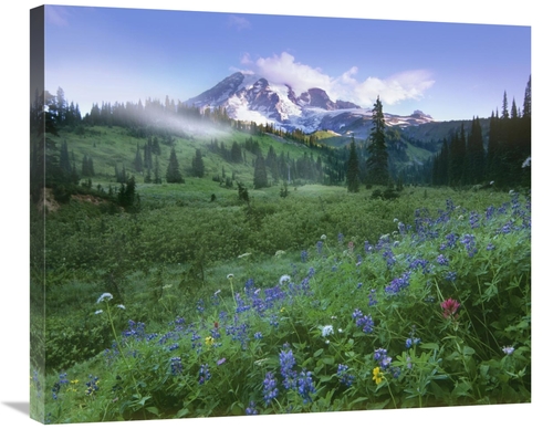 Global Gallery GCS-396792-30-142 30 in. Incoming Fog on Mount Rainier&