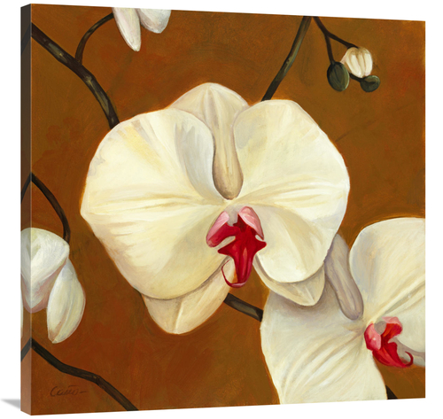 Global Gallery GCS-137411-3636-142 36 x 36 in. Orquideas Blancas I Art