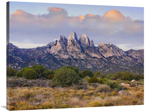 Global Gallery GCS-396216-3040-142 30 x 40 in. Organ Mountains, Ch