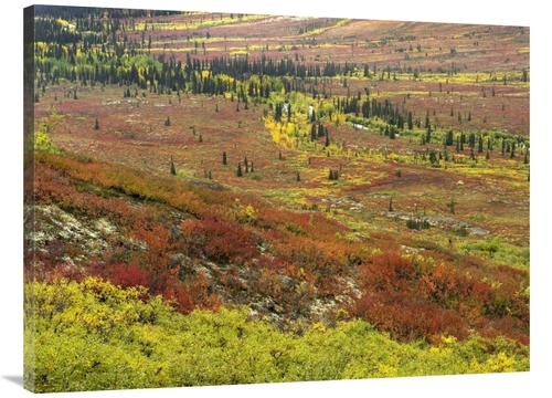 Global Gallery GCS-397060-3040-142 30 x 40 in. Autumn Tundra with Bore