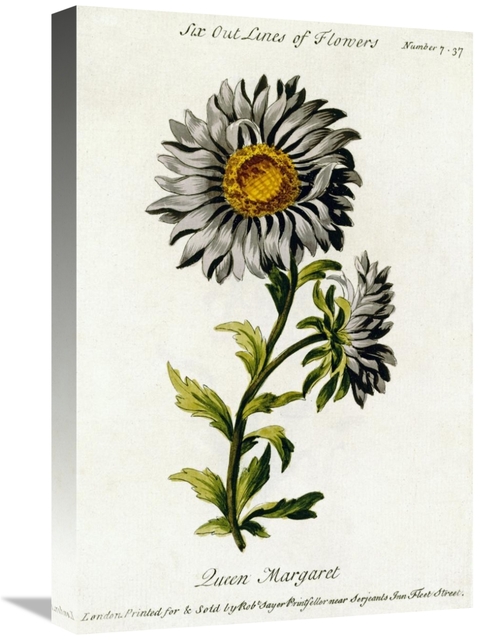 Global Gallery GCS-266984-22-142 22 in. Queen Margaret Art Print - Tho