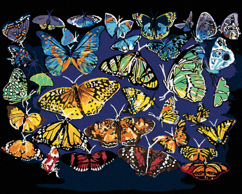 Zuty - Malen nach Zahlen - FARBIGE SCHMETTERLINGE (D. RUSTY RUST),