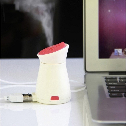 USB Penguin Aroma Humidifier