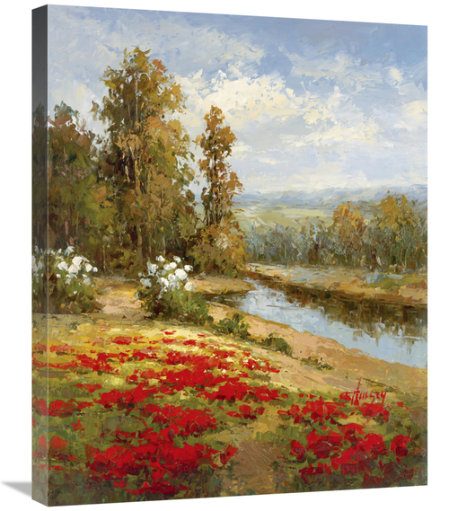 Global Gallery GCS-128430-2228-142 22 x 28 in. Poppy Vista I Art Print