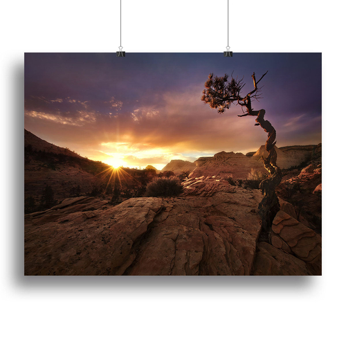 Distorted Canvas Print or Poster