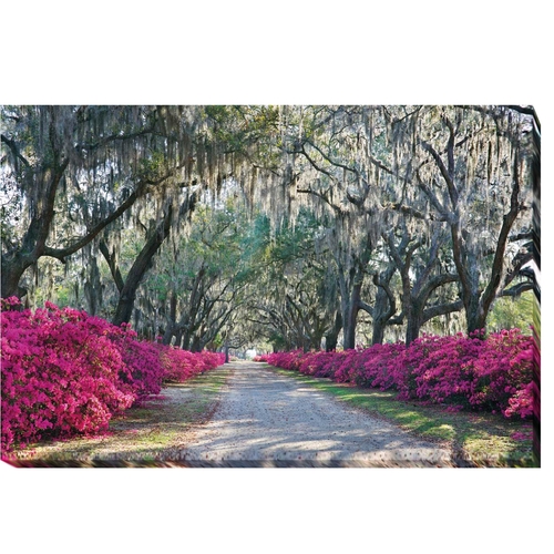 Artistic Home Gallery 1624A550IG Azaleas, Bonaventure Savannah by 