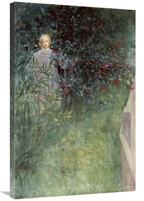 Global Gallery GCS-268223-36-142 36 in. in the Hawthorn Hedge Art Prin