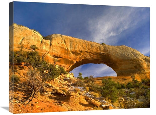 Global Gallery GCS-397185-2228-142 22 x 28 in. Wilson Arch with A Span