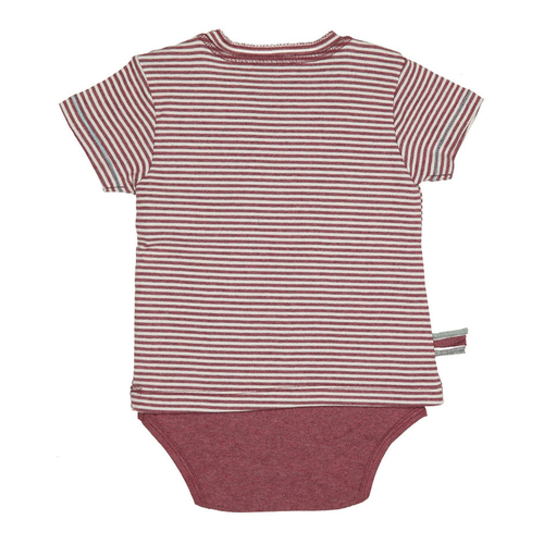 OrganicEra Organic S/S Tshirt Body,Striped