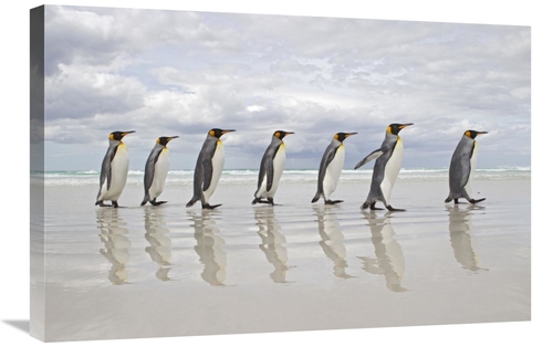 Global Gallery GCS-395353-2030-142 20 x 30 in. King Penguin Group Walk