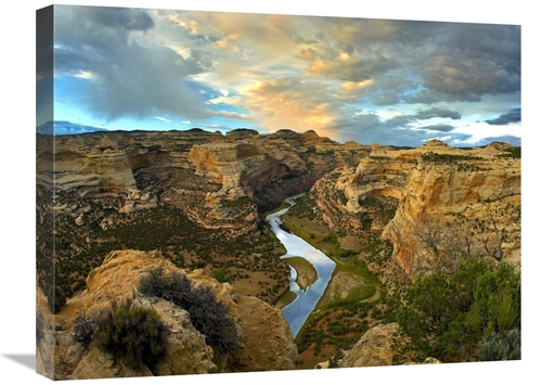 Global Gallery GCS-396287-1824-142 18 x 24 in. Yampa River, Dinosa