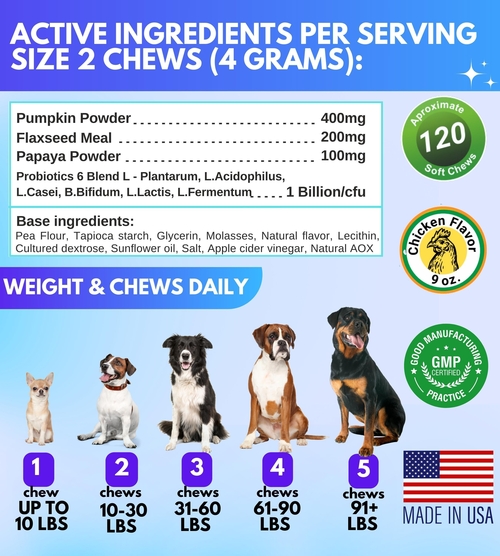 Probiotics for Dogs   Digestive Enzymes Gut Flora Digestive Health