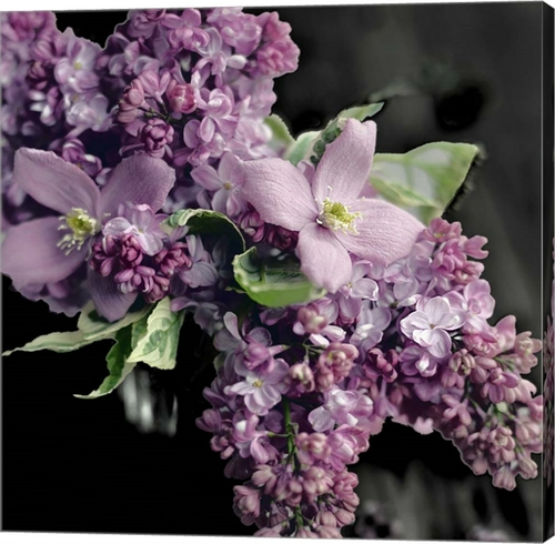 Metaverse C910750-0120000-AAAACMA Fresh Evening Bloom by Sarah Gardner