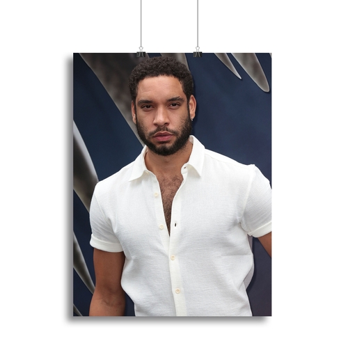 Royce Pierrson Canvas Print or Poster