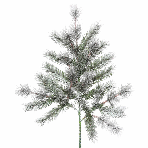 Vickerman K176603 24 in. Frosted Lacey Pine Spray - 27 Tips