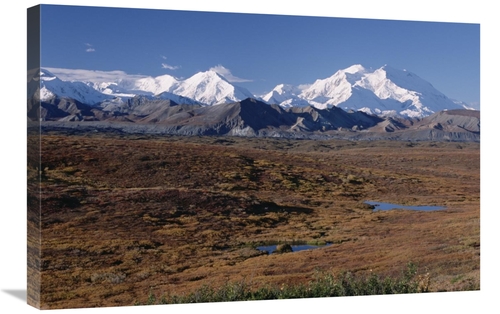 Global Gallery GCS-451905-2030-142 20 x 30 in. Tundra & Mt Denali,