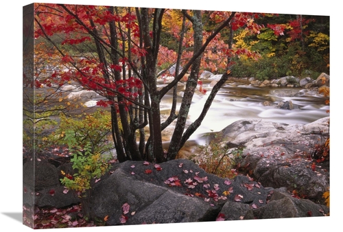 Global Gallery GCS-452022-1824-142 18 x 24 in. The Swift River, Wh