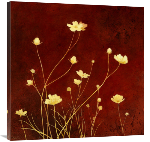 Global Gallery GCS-137415-3636-142 36 x 36 in. Flores En El Campo I Ar