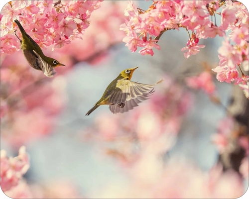 Wild Flowers & wild life  bird Art Mouse Pad Classic  7 x 9