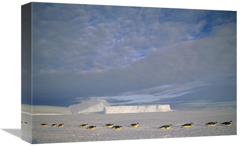 Global Gallery GCS-451121-1218-142 12 x 18 in. Emperor Penguins Tobogg