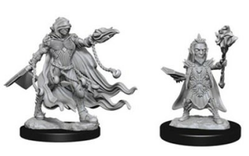 WizKids WZK72586 Pathfinder Battles Deep Cuts Unpainted Evil Wizards M