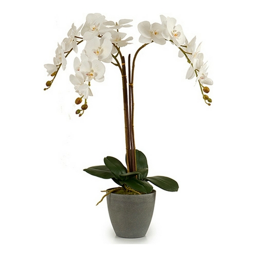 Plant pot ‎S3603051 Plastic (44 x 88 x 60	 cm)