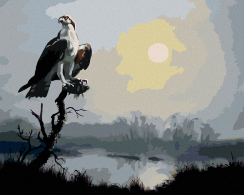 Zuty - Paint by Numbers - EAGLE ON A BRANCH AND THE SUN (D. RUSTY