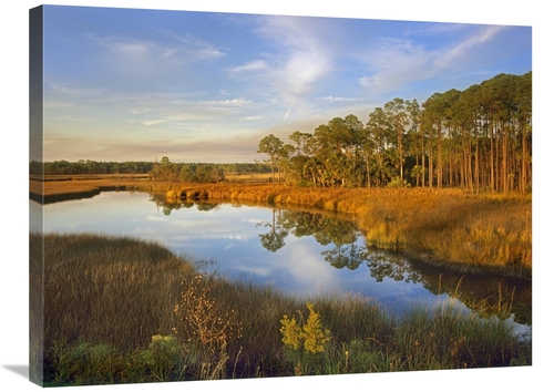 Global Gallery GCS-395992-2432-142 24 x 32 in. Lake Near Apalachicola&