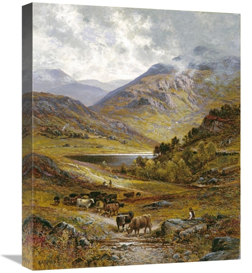 Global Gallery GCS-266393-22-142 22 in. Longhorn Cattle Art Print - Al