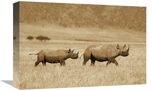 Global Gallery GCS-453692-1218-142 12 x 18 in. Black Rhinoceros & Calf