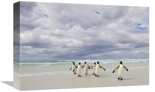 Global Gallery GCS-395356-1218-142 12 x 18 in. King Penguin Group Retu
