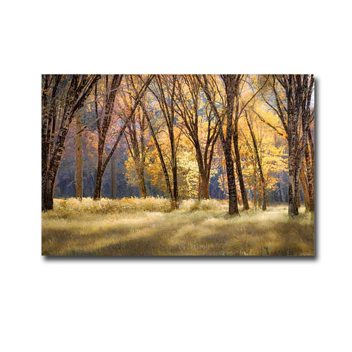 Artistic Home Gallery 2436O448EG El Capitan Meadow by Fred Mertz Premi