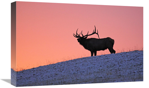 Global Gallery GCS-486501-22-142 22 in. Winter Sunrise Art Print - Vic