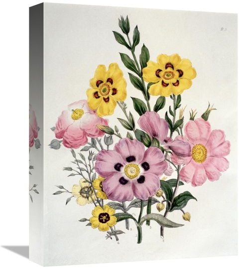 Global Gallery GCS-276943-16-142 16 in. Yellow & Pink Mixed Flowers Ci