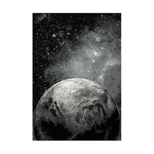 Wild Machine Made Heat Set Polypropylene Rug