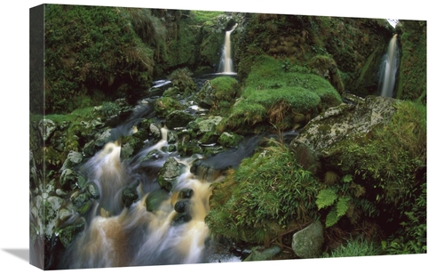 Global Gallery GCS-451819-1624-142 16 x 24 in. Waterfalls Among Ferns 