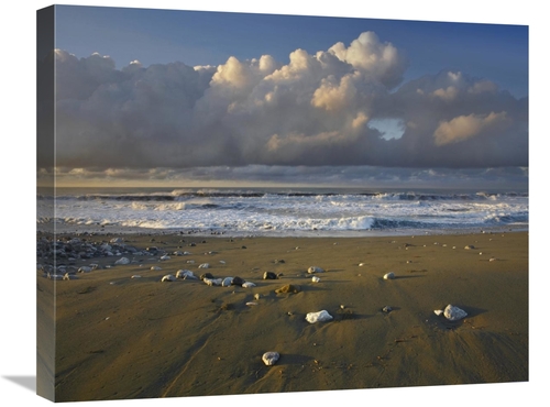 Global Gallery GCS-396367-2024-142 20 x 24 in. Beach & Waves, Corc