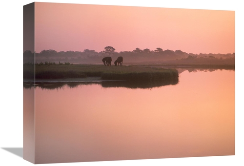 Global Gallery GCS-396795-1216-142 12 x 16 in. Wild Horse Pair Grazing