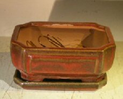 Parisian Red Ceramic Bonsai Pot - Rectangle Professional Series with